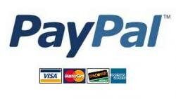 ВТБ 24 стал официальным банком PayPal в России ВТБ 24 стал официальным банком PayPal в России